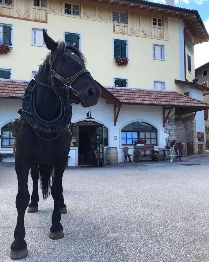 Hotel Agritur Sandro Sporminore Esterno foto